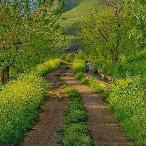 سجاد سهرابی راد هساره
